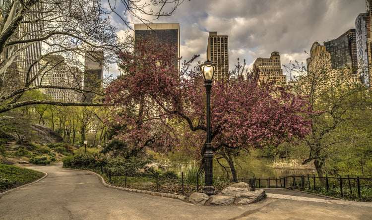 Spring Fragrances