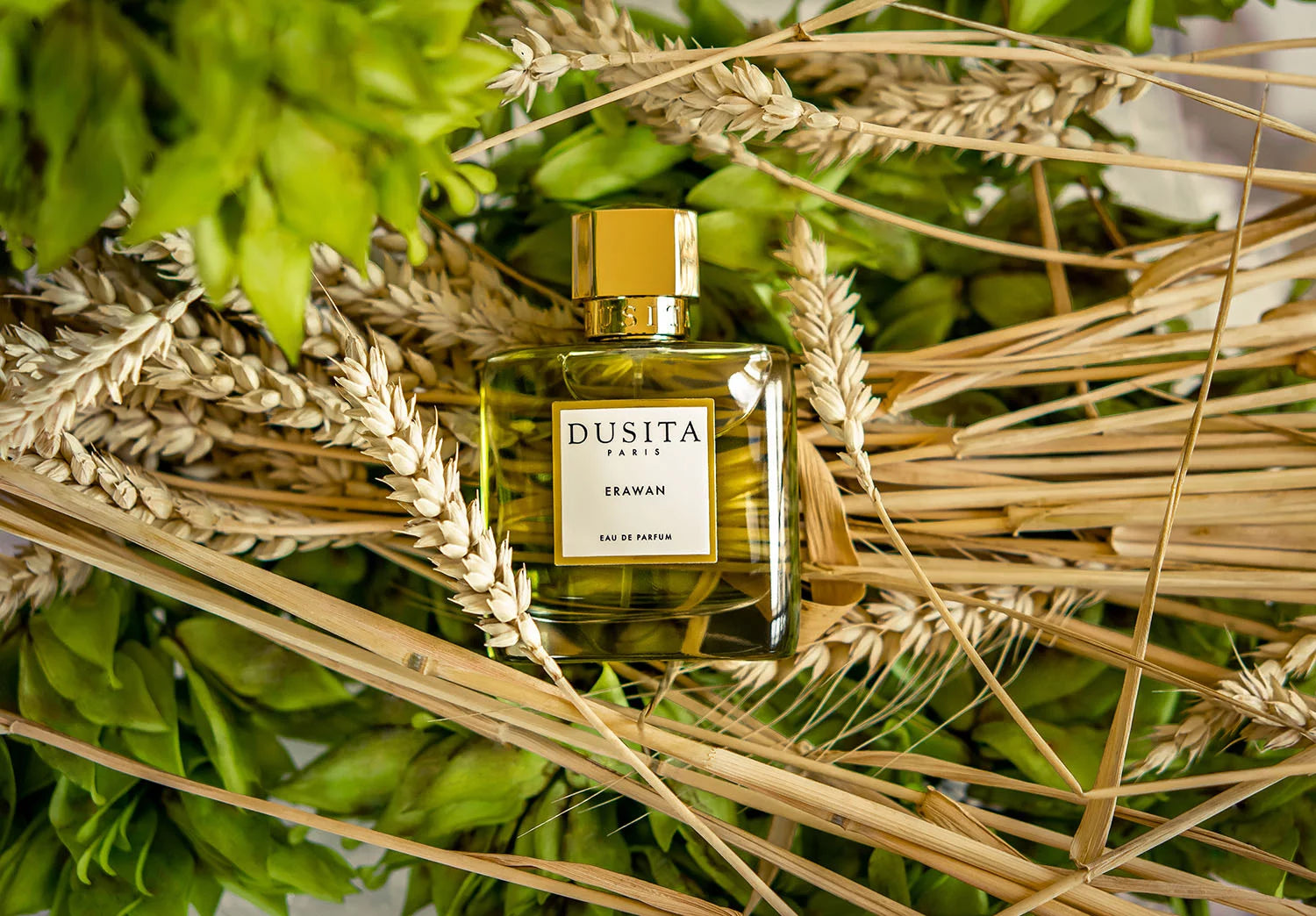 Perfuluxe